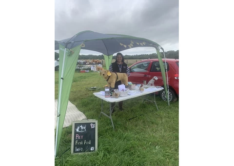 Weeting Saturday boot & Antique fair - 4/4