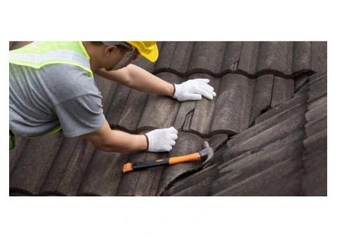 Roof Wash Team - 9/10