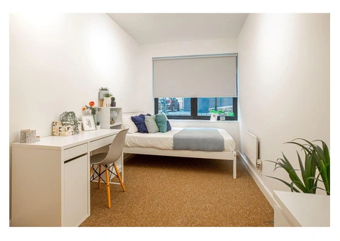 Discover Affordable Student Housing on Trippet Lane, Sheffield - 3/4