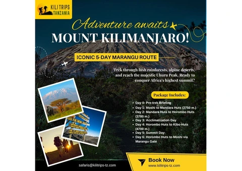 Tanzania Wildlife Safari & Kilimanjaro Trek | Best Tanzania Tours & Safaris