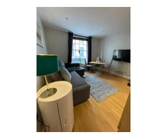 Proper one bedroom available for rent in Victoria Road, CM1