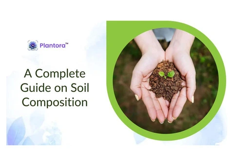 A Complete Guide on Soil Composition.