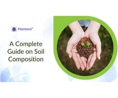 A Complete Guide on Soil Composition.