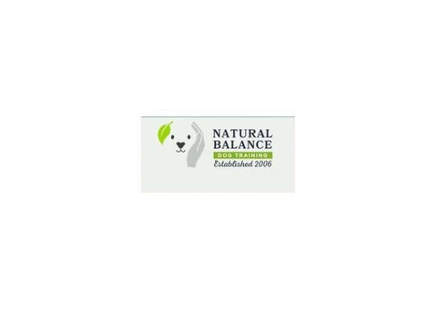 Professional Dog Trainer in the South of England – Trusted & Experienced