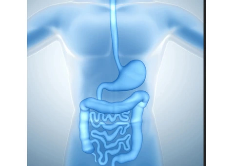 IBS Specialist London - 7966544934