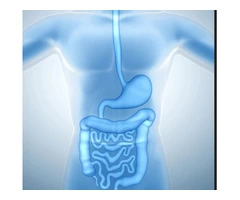 IBS Specialist London - 7966544934