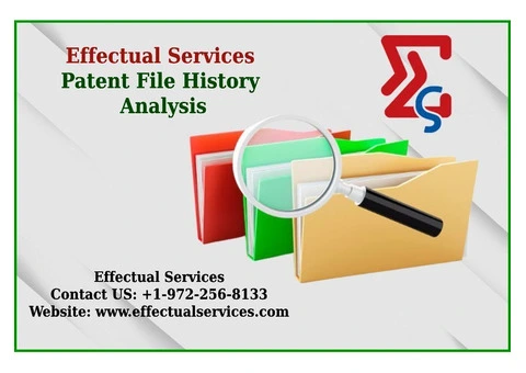 Patent filing services in USA - Effectual Services