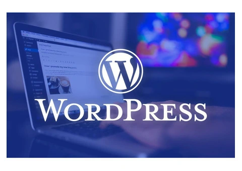 Build Your Website the Easy Way with Plus Promotions!