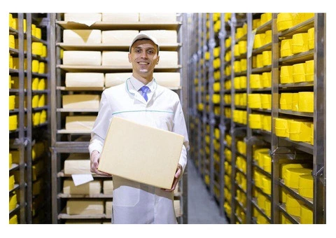 Custom Storage Done Right – ARK Install’s Bespoke Solutions