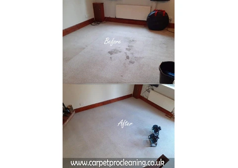 Carpet cleaning services in Wallasey - 11/16