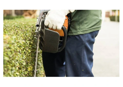Tree Surgeon Pro - 2/8
