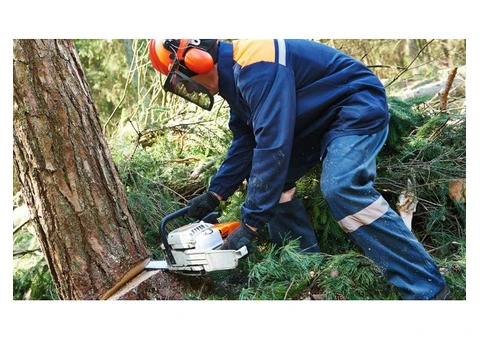 Tree Surgeon Pro - 3/8