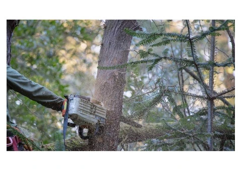 Tree Surgeon Pro - 4/8