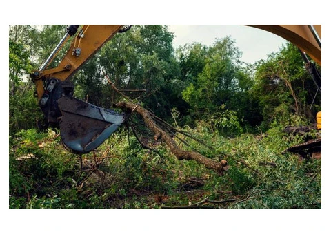 Tree Surgeon Pro - 5/8