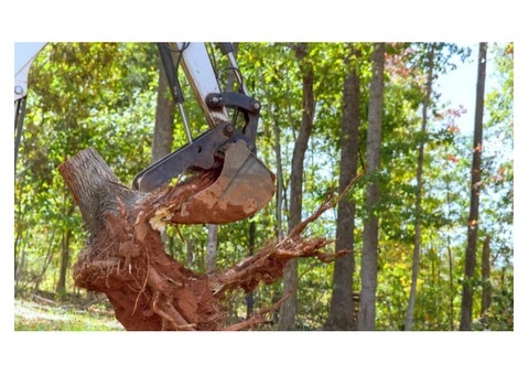 Tree Surgeon Pro - 7/8