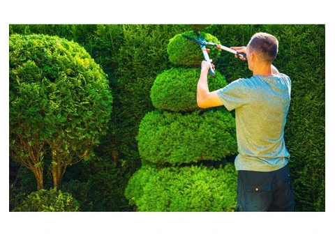 Tree Surgeon Pro - 8/8