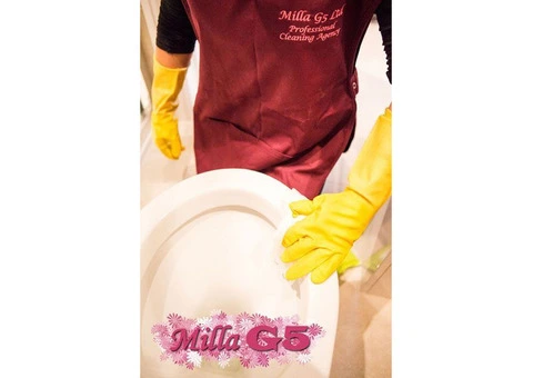 Professional Cleaners London - 2/11