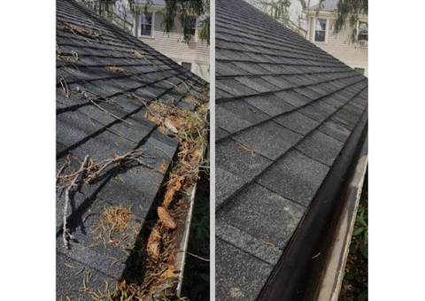 Full Gutter Clean From Only £65