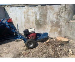 Stump Grinding in Sudbury - Clear Your Space Effortlessly!
