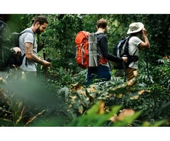 Thrilling Costa Rica Adventure Tours | Explore with Sukia Travel