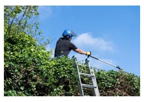 Rotherham Tree Services - 1/4