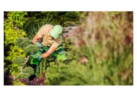 Rotherham Tree Services - 2/4