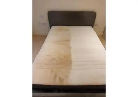 Excellent Carpet Cleaners Bromley - 5/6