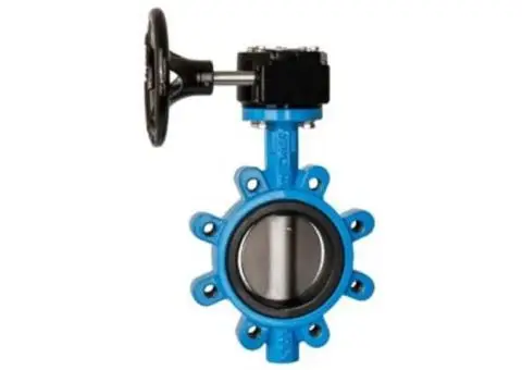 Butterfly Valve Versatile Solution for Flow Regulation