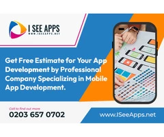 Cost of web app development London