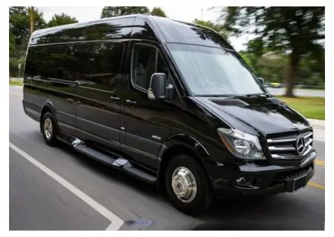 international chauffeur service