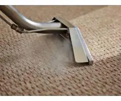Tired of Dirty Carpets? Call Carpet Pro for Expert Carpet Cleaning Services!