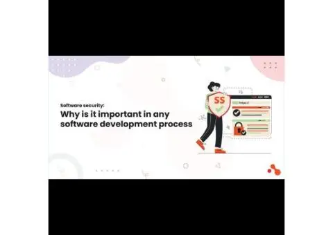 Software security: Why is it important in any software development process
