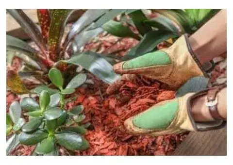 Ace Landscape & Turf Supply. - 2/3