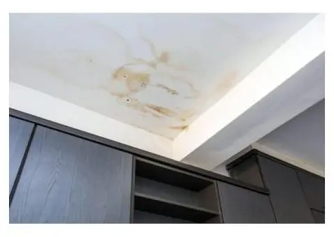 Mould Removal In Greater London – Effective Solutions for Your Property - 1/4