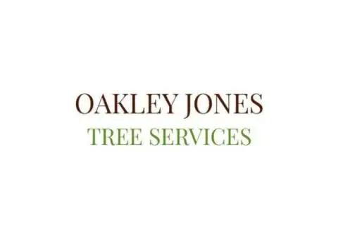 Expert Tree Surgeon in Herne Bay, Kent – Professional Tree Surgery Services