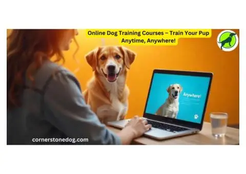 Online dog training courses