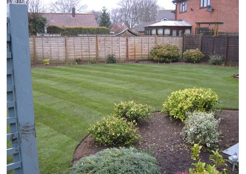 Lawn Replacement - 1/3