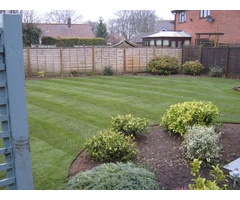 Lawn Replacement