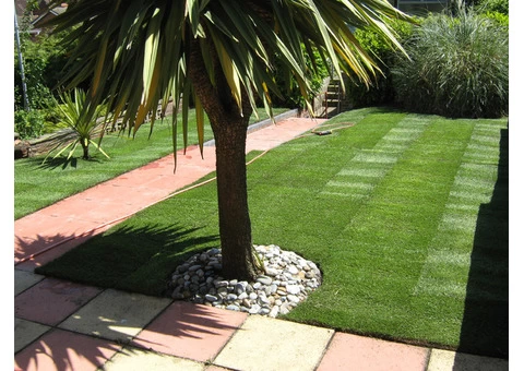 Lawn Replacement - 2/3