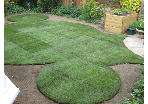 Lawn Replacement - 3/3