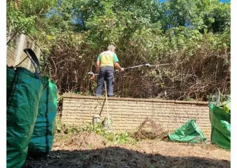 City Gardeners North London - 3/10