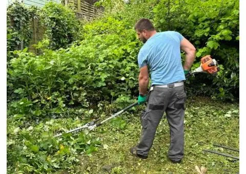 City Gardeners North London - 4/10