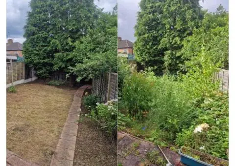 City Gardeners North London - 9/10