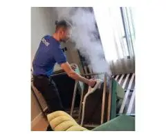 Affordable Pest Control in London | BioWise Services
