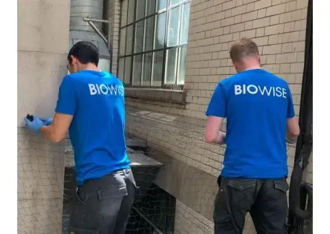 Affordable Pest Control in London | BioWise Services - 4/4