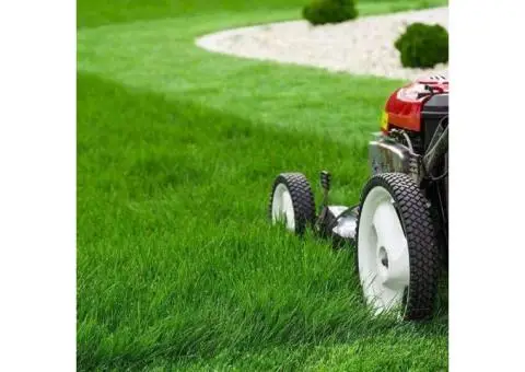 Beautiful Turf Now Available - Ace Landscapes Supplies - 4/6