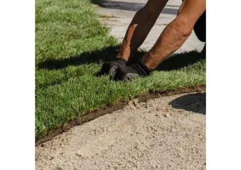 Beautiful Turf Now Available - Ace Landscapes Supplies - 6/6