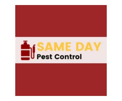 Same Day Pest Control London