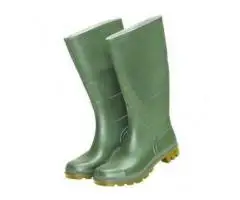 Wellingtons