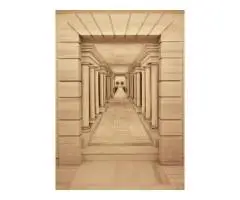 Professional Muralist Artist – Custom Wall Murals for Homes & Businesses